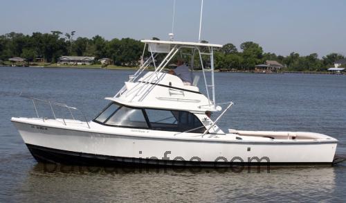 Bertram 31 Flybridge avis et fiche technique